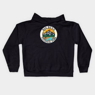 Big bend national park Kids Hoodie